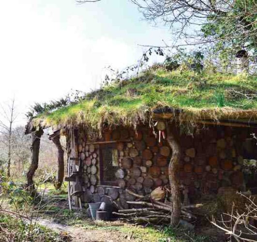 Grow a Green Roof